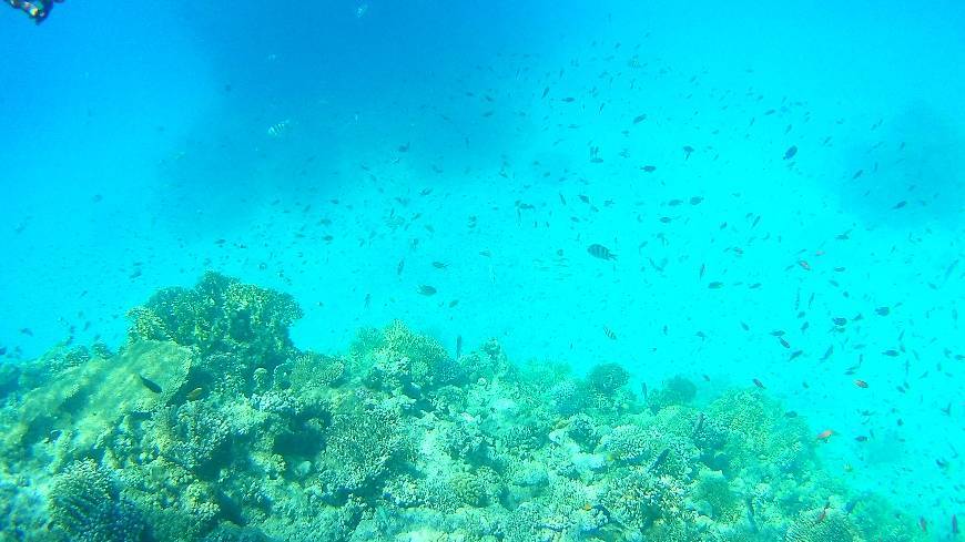 Lugar Red Sea