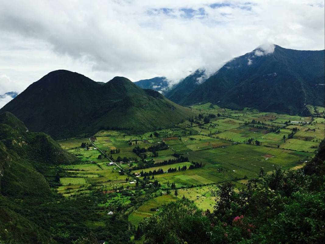 Moda Ecuador - Quito 💚