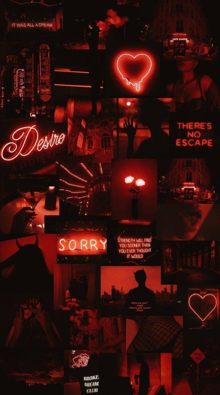 ❤❤