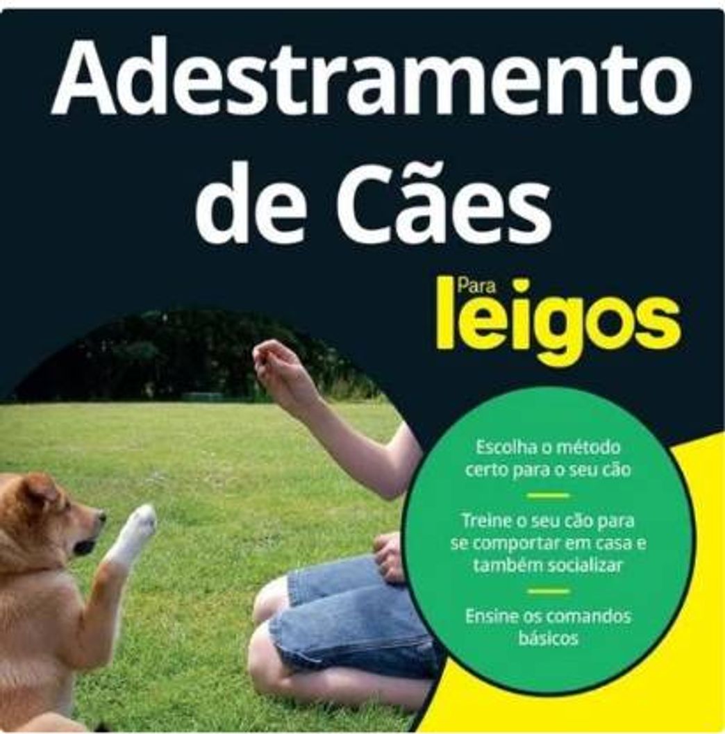 Moda Curso para quem quer ensinar seu cachorro ou gato bons modos