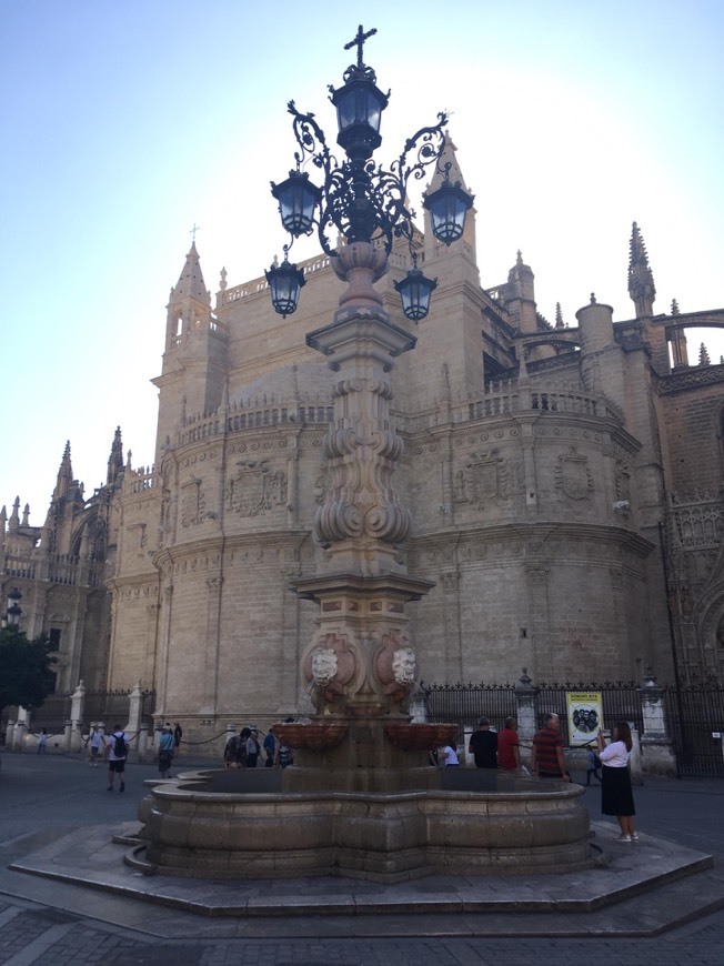 Place Catedral de Sevilla