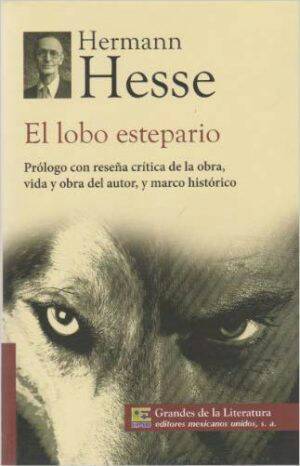 Book Hermann Hesse