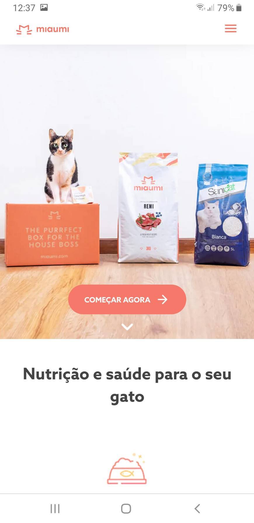 Fashion Comida e veterinário online para gatos 