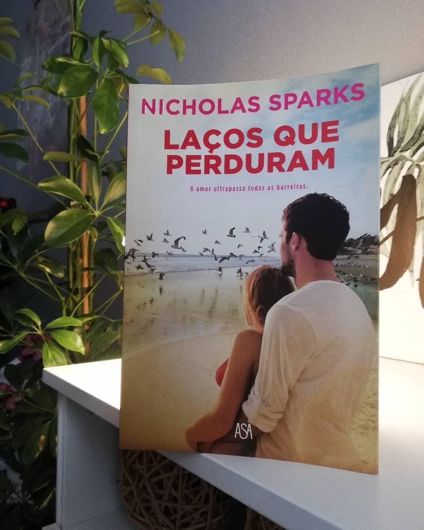 Laços Que Perduram
