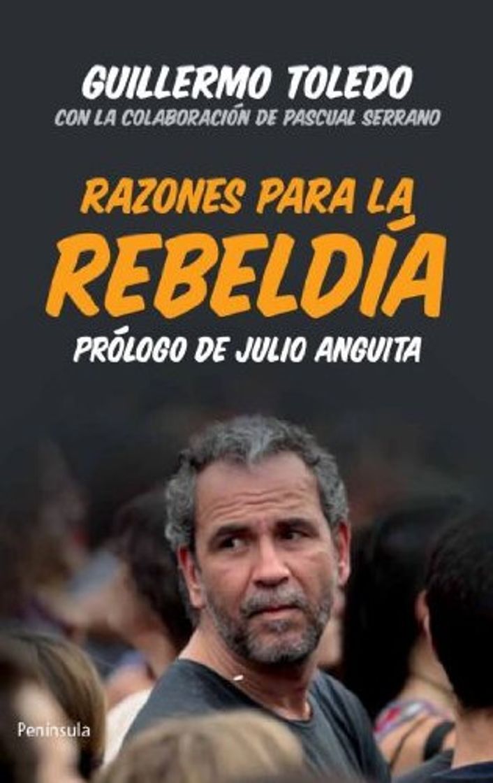 Books Razones para la rebeldía: Prólogo de Julio Anguita