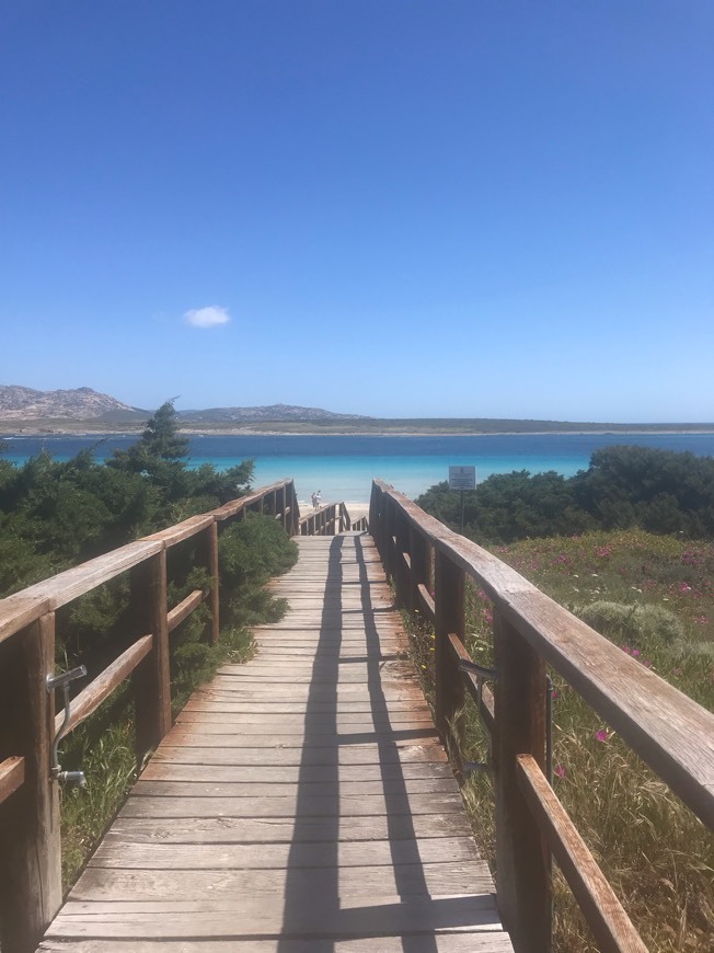 Lugar Spiaggia La Pelosa