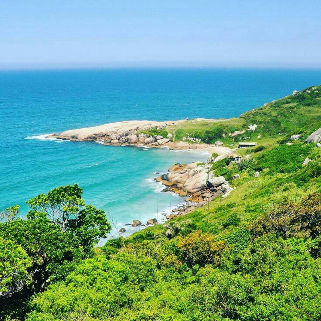 Moda Praia do gravatá, Florianópolis