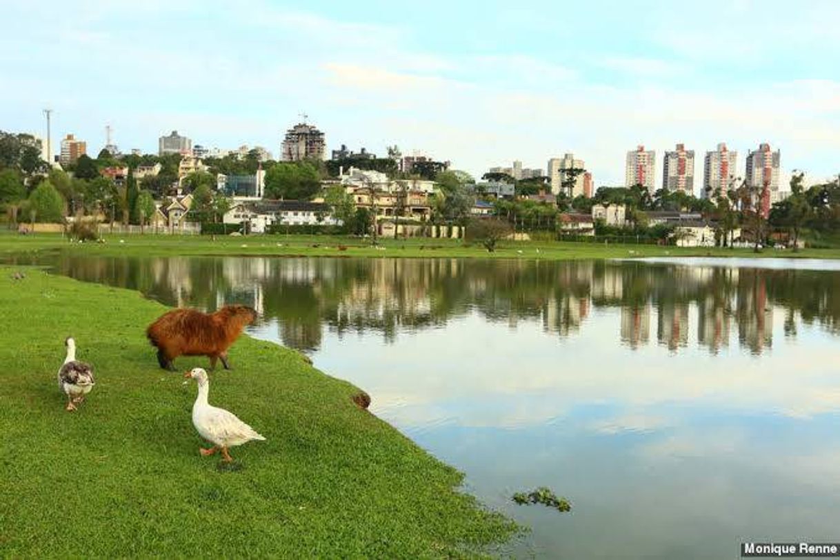 Fashion Parque Barigui - Curitiba