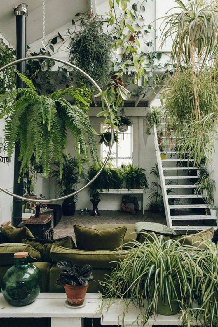 Fashion Ambiente com plantas 