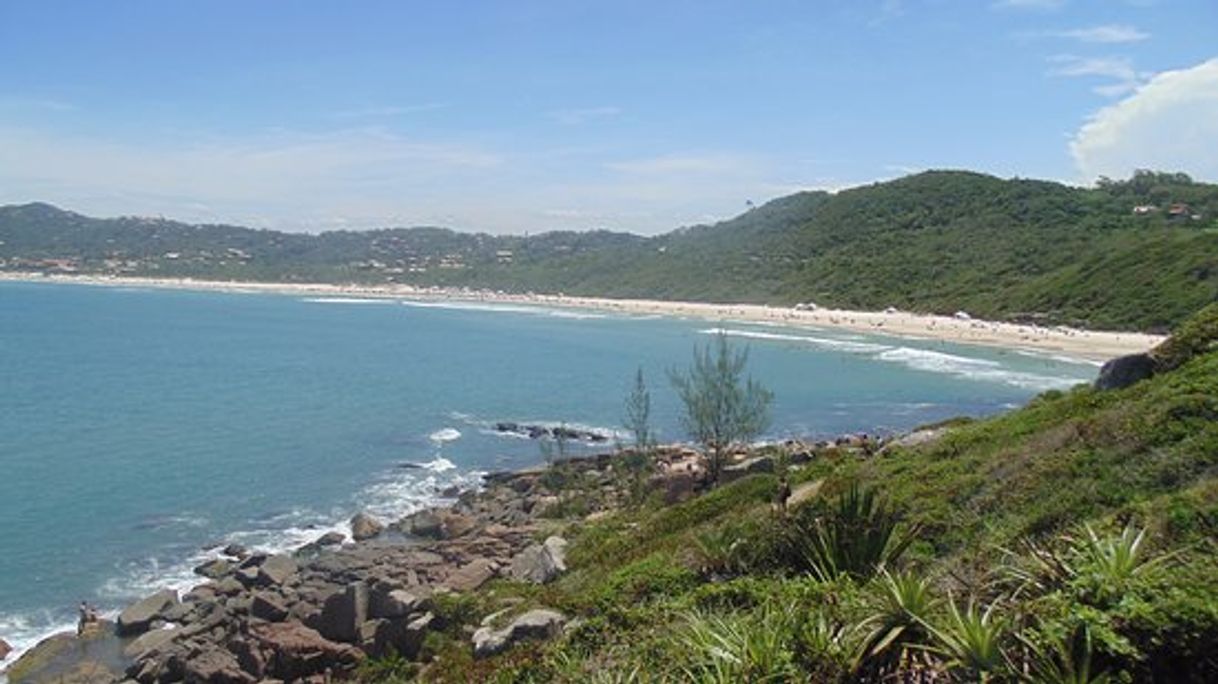 Lugar Praia do Rosa