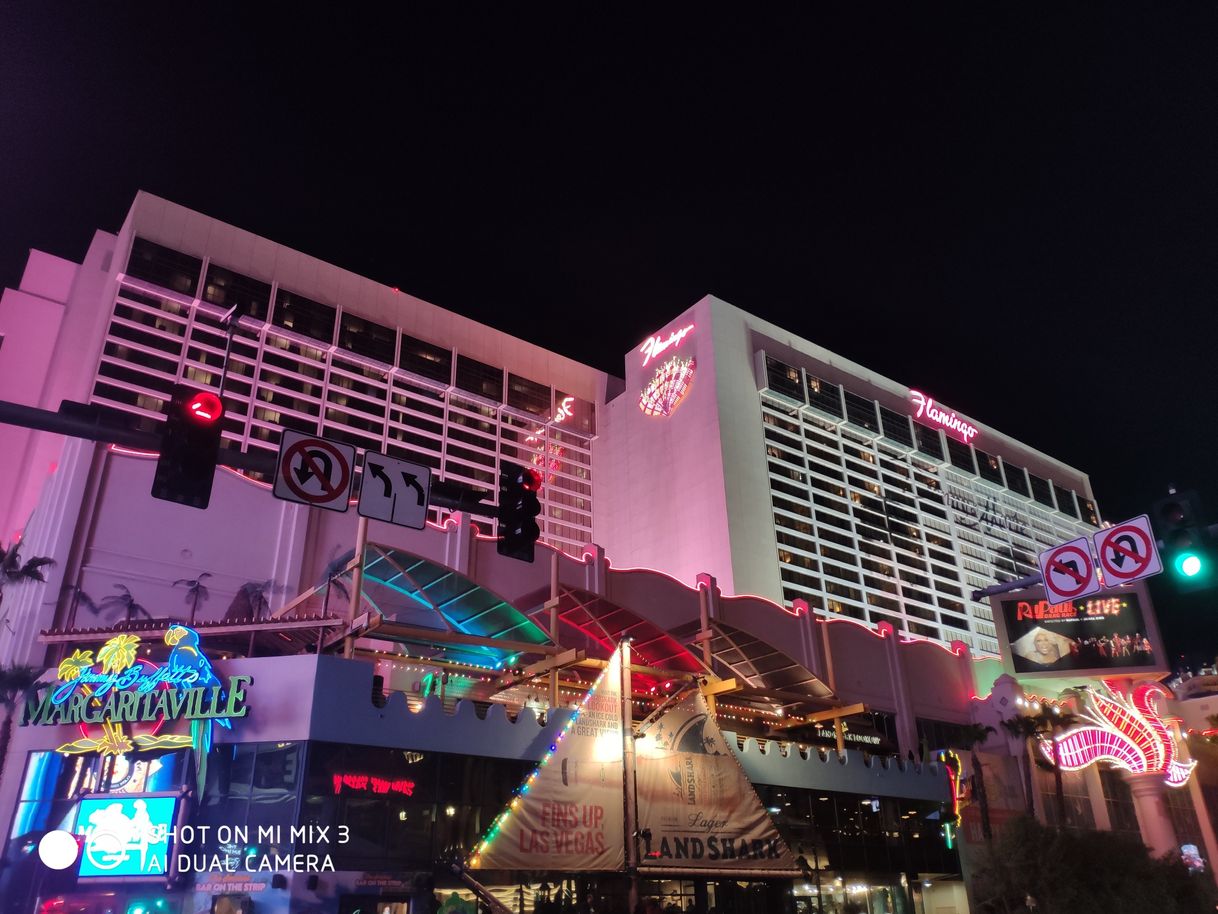 Lugar Flamingo Las Vegas