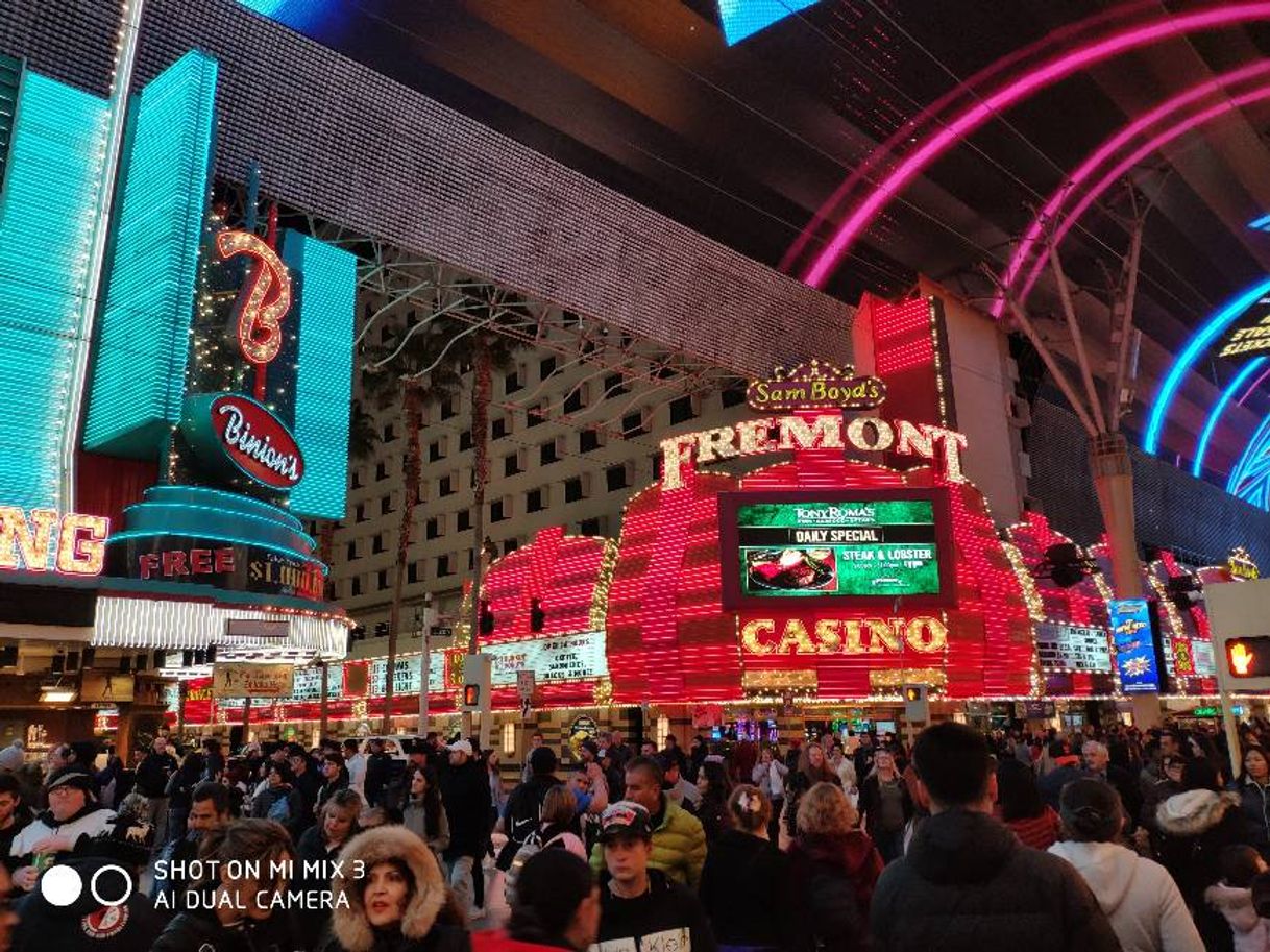 Place Freemont Street