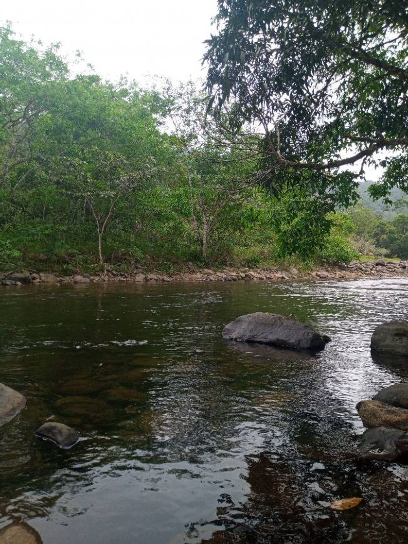 Place Cachoeira do Bracui