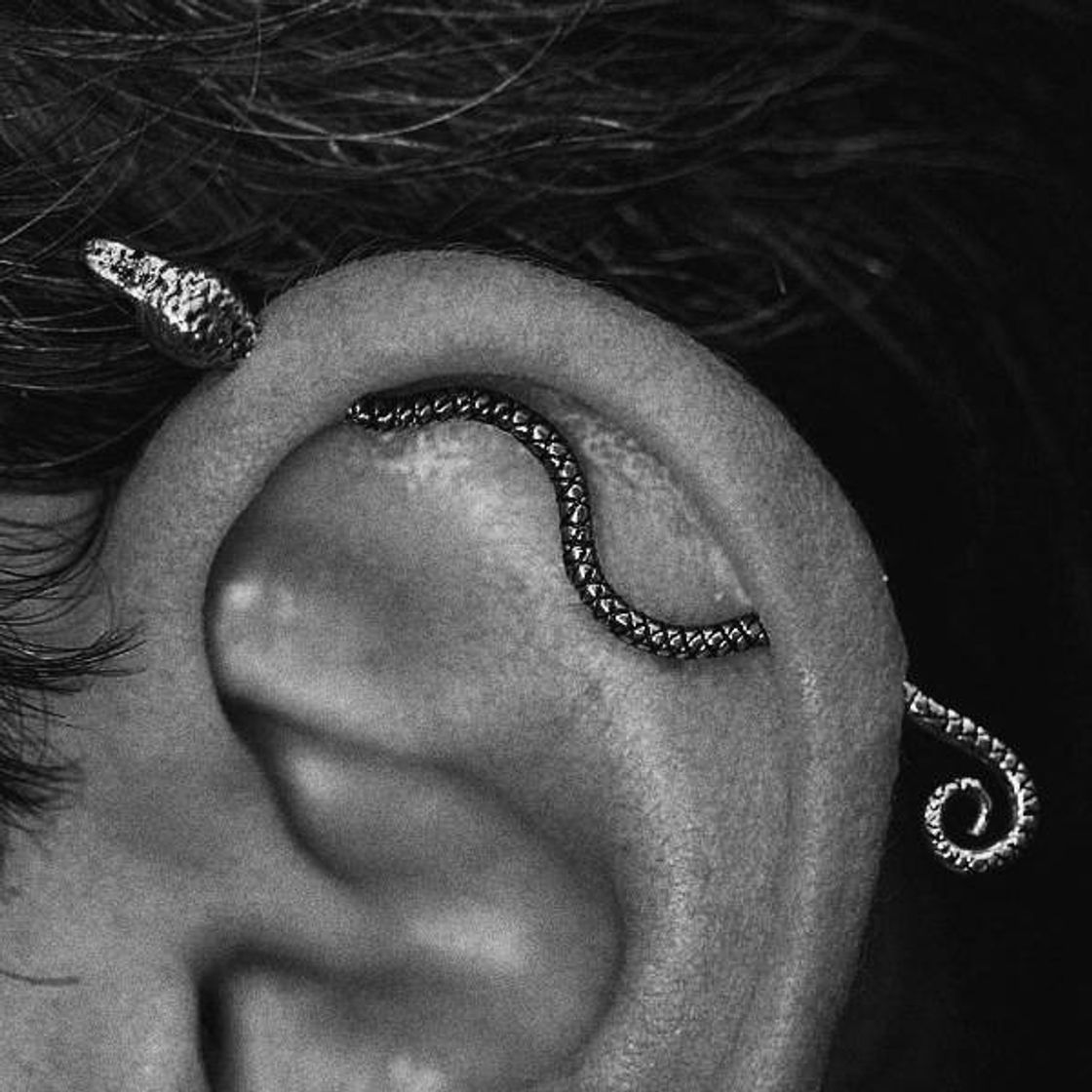 Fashion Piercing transversal🐍