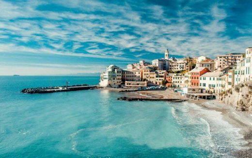 Bogliasco