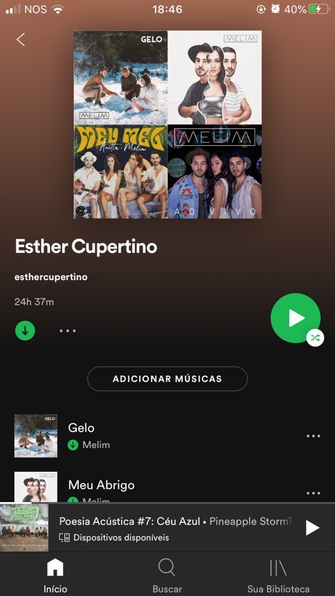 Canción Minha Playlist Spotify 