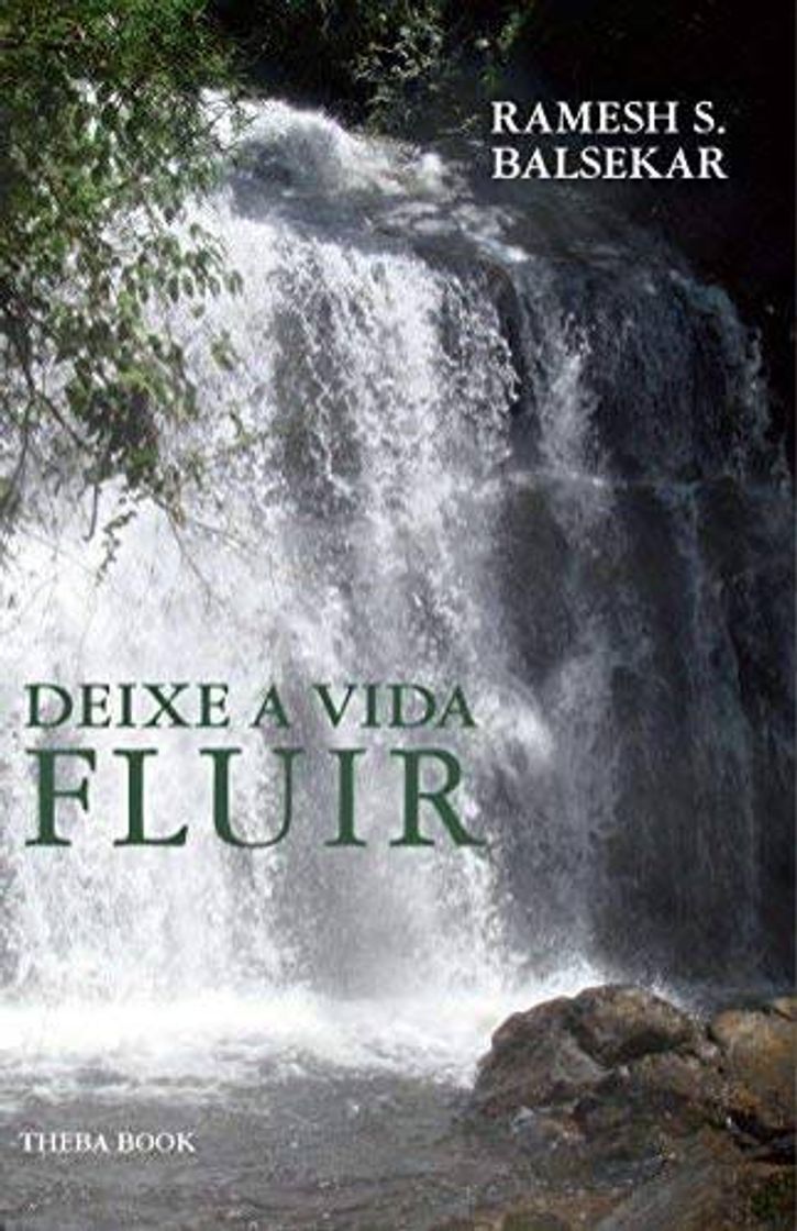 Libro Deixe a Vida Fluir