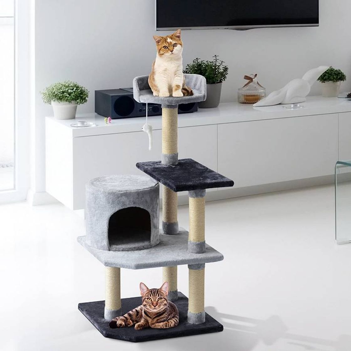 Productos PAWHUT Árbol Para Gatos