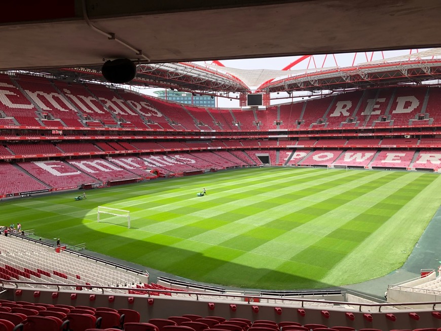 Lugar Estádio Sport Lisboa e Benfica