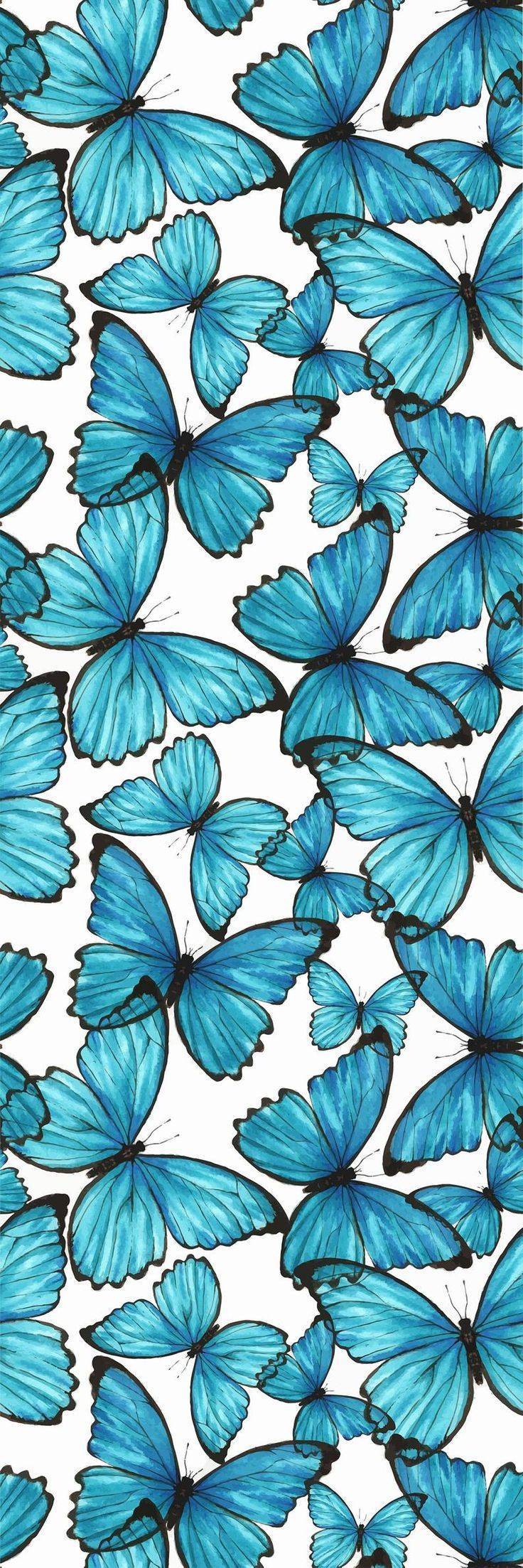 Wallpaper Borboleta 