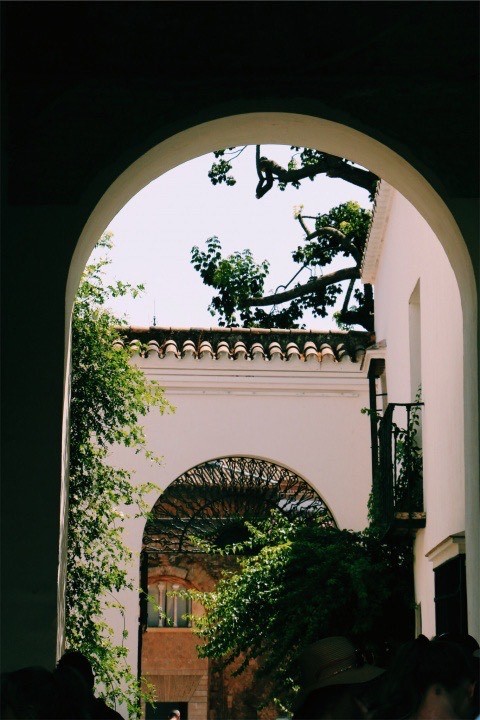 Place Real Alcázar de Sevilla