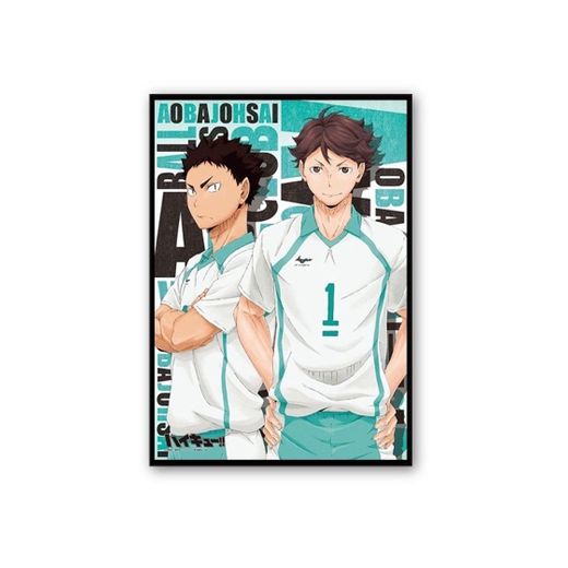 placa decorativa aoba johsai Haikyuu 