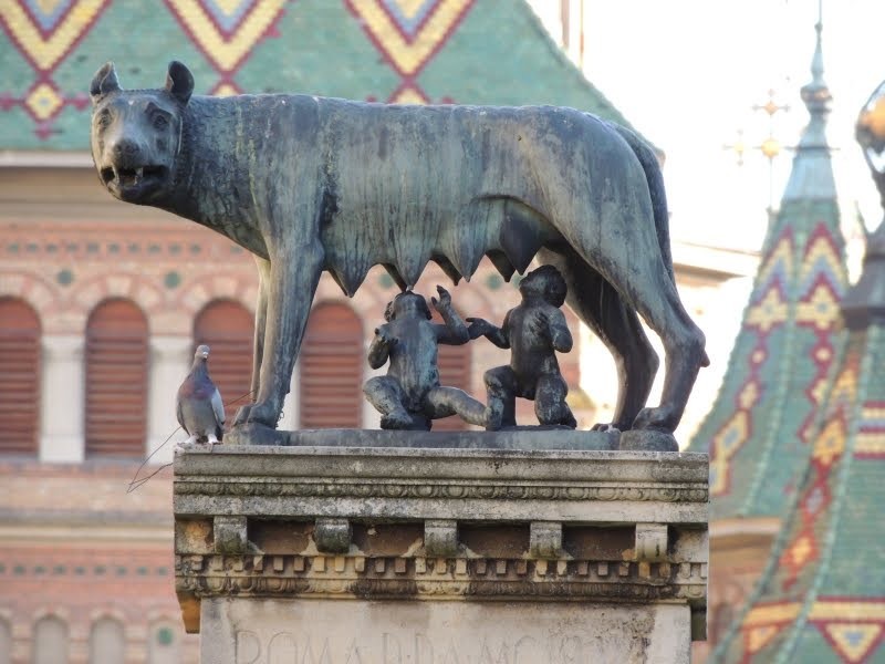 Place Wolf Statue