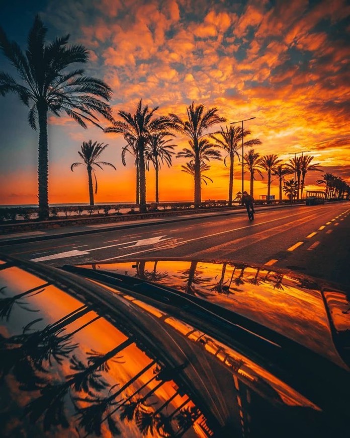 Music Música para se deixar levar ... 🍃🌿