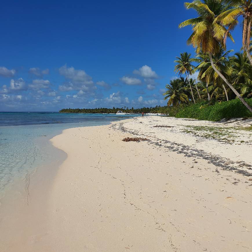 Lugar Punta Cana