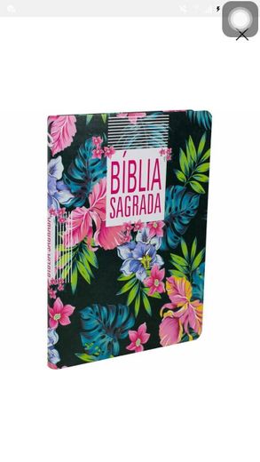 Biblia sagrada