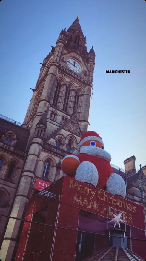 Places Manchester Town Hall