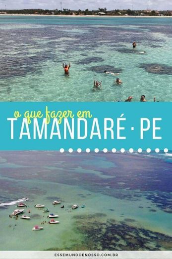 Tamandaré