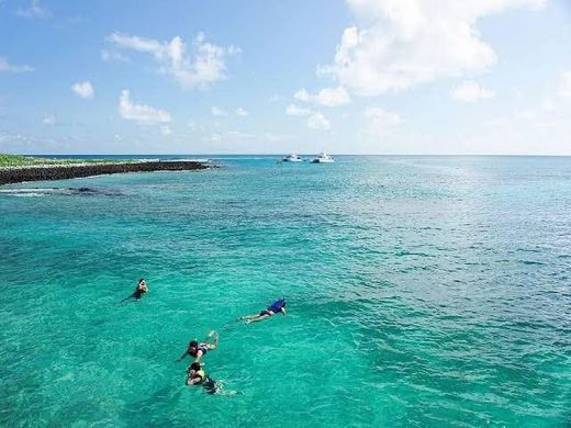 Arquipélago de Abrolhos