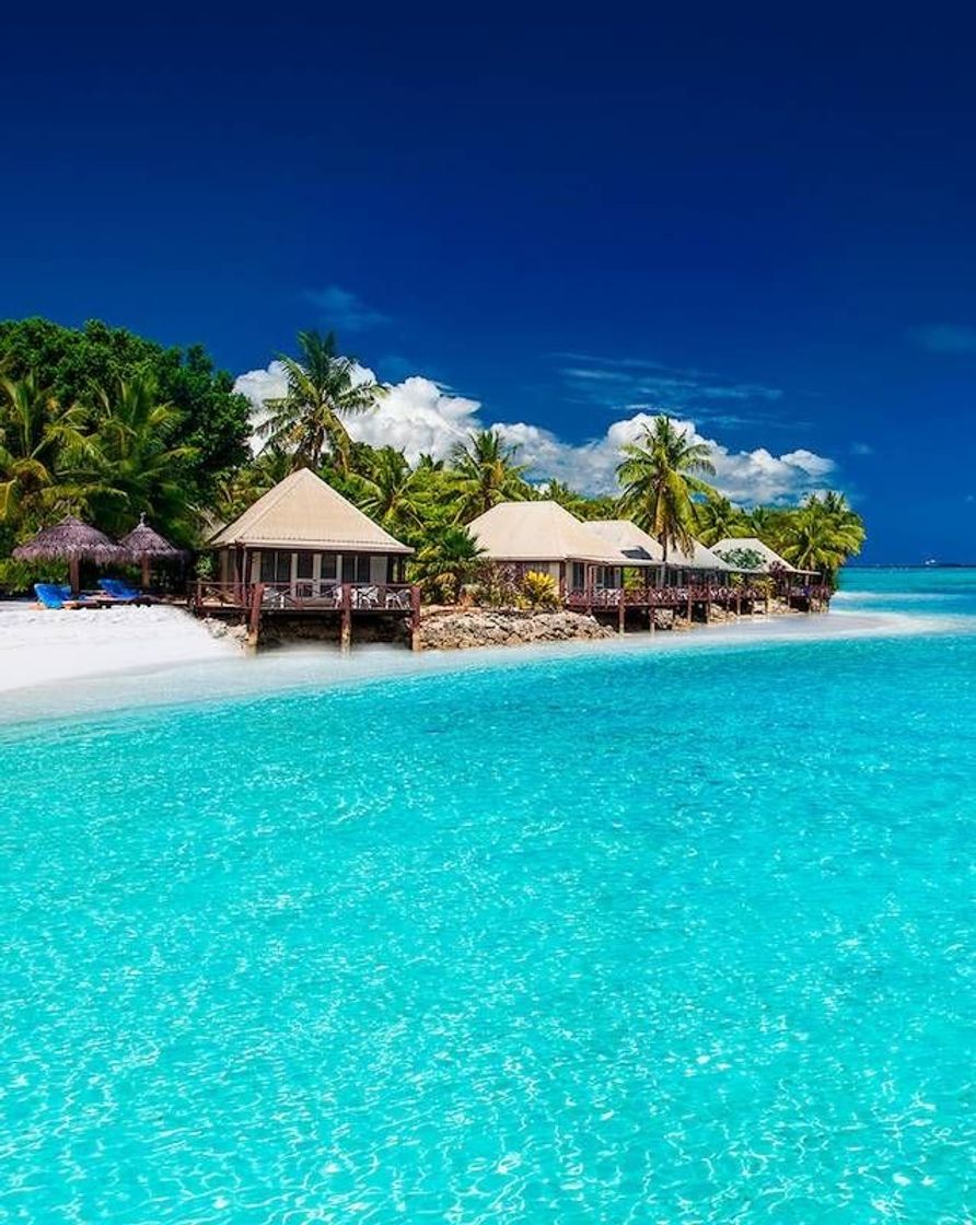 Social Bora bora, polinésia francesa