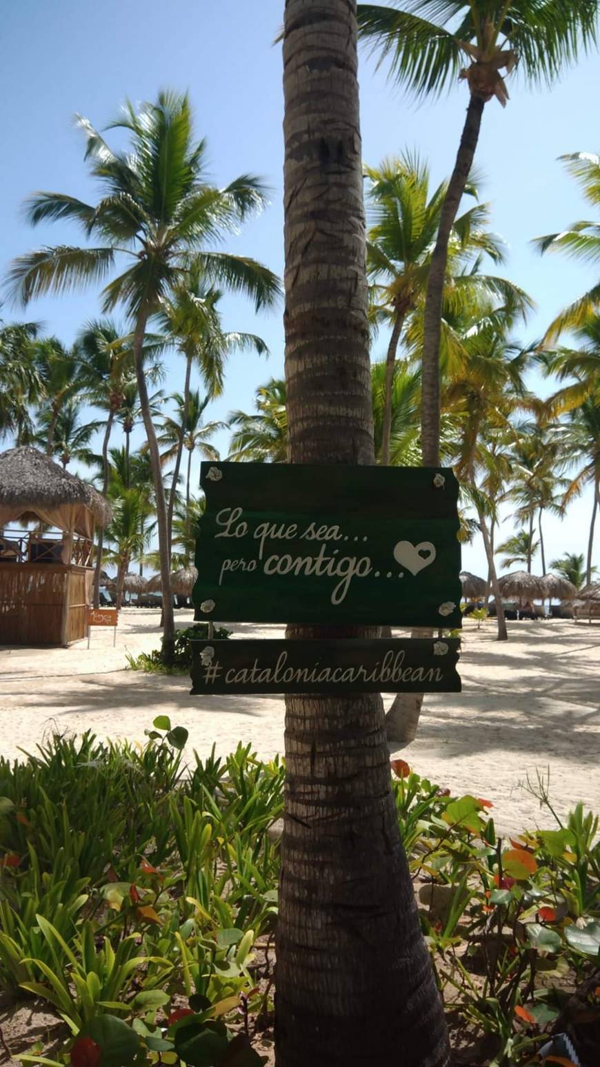 Lugar Catalonia Bavaro Beach, Golf & Casino Resort