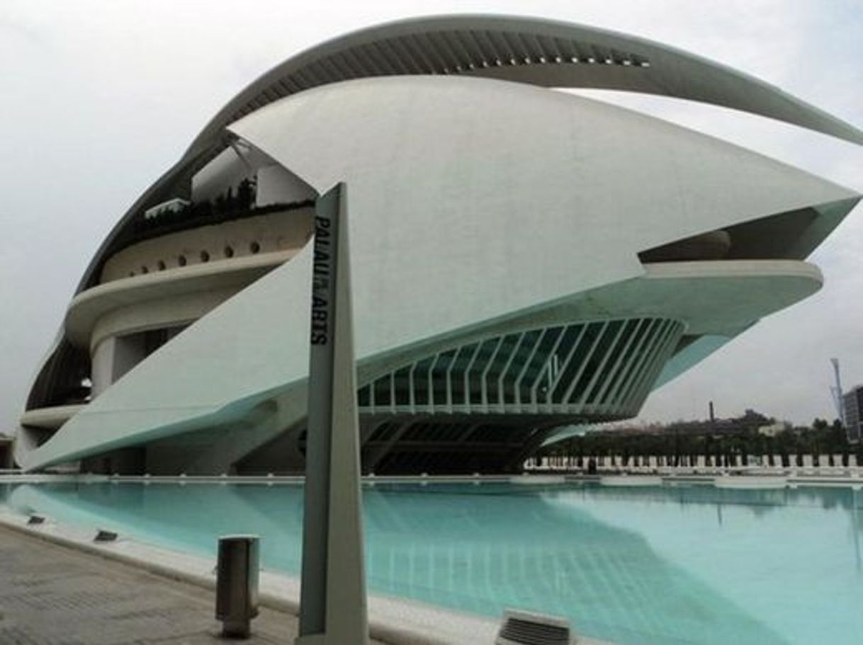 Place Museo de Arte Valencia