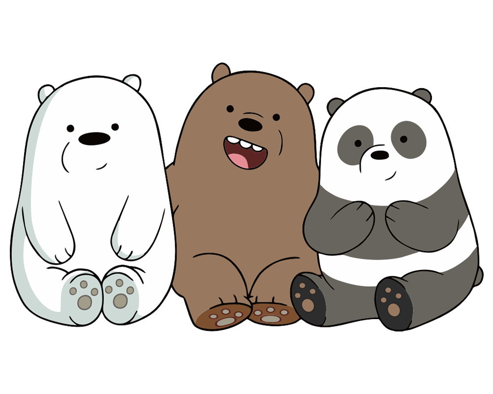 Urso sem curso
