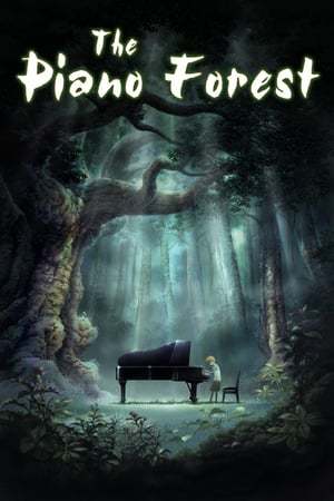 Movie El bosque del piano