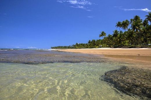 Taipu de Fora - Barra Grande