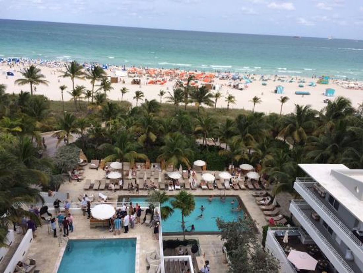 Lugar Royal Palm South Beach Miami, a Tribute Portfolio Resort