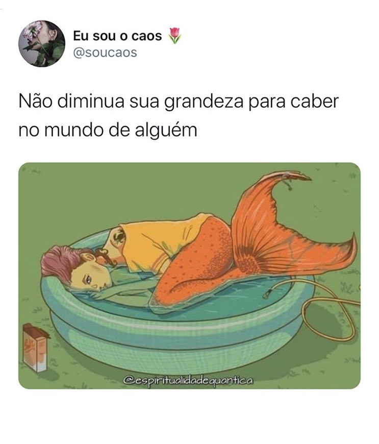 Moda Nunca