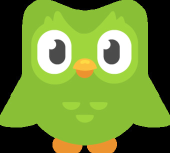 App duolingo 