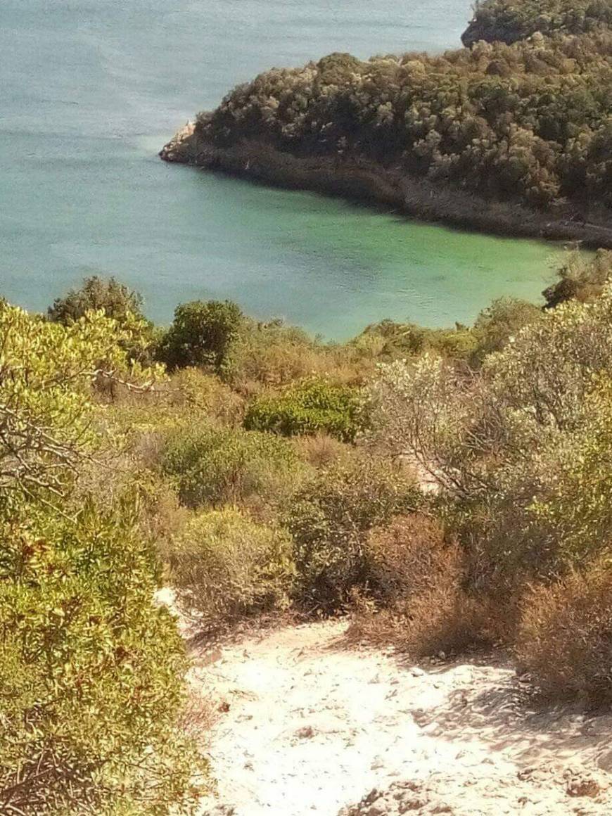 Place Praia dos Galapinhos