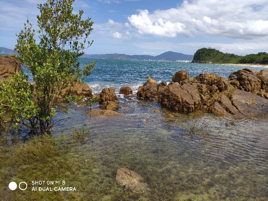 Lugar Praia Grossa