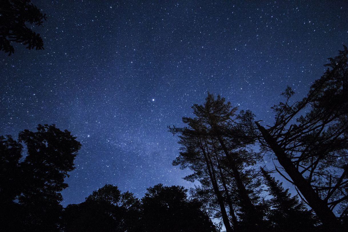 Moda Céu estrelado 