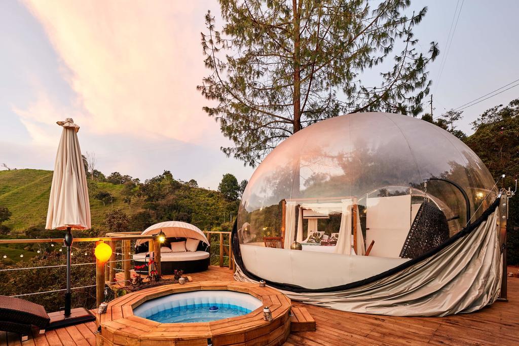 Place Bubble Sky Glamping