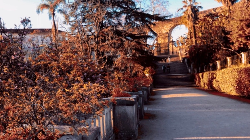 Place Jardim Botânico da Universidade de Coimbra