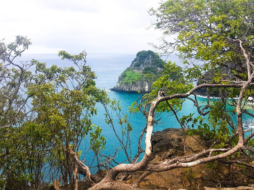 Place Fernando de Noronha 