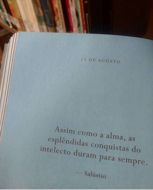 365 dias extraordinários 🍃