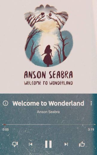 Welcome to wonderland-Anson Seabra 